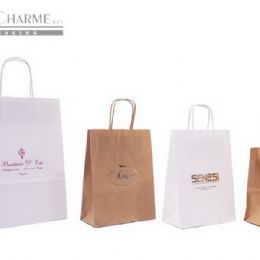 SHOPPING BAGS economica carta kraft ecologica