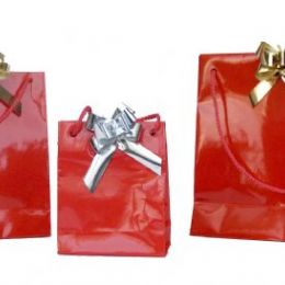 BUSTA LAURA ROSSO CON COCCARDA